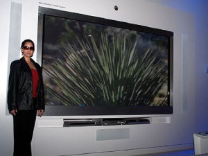 Panasonic 150-inch plasma TV
